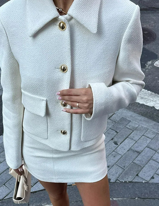 Solid Jacket Cropped Mini Skirt Office Two Piece Set