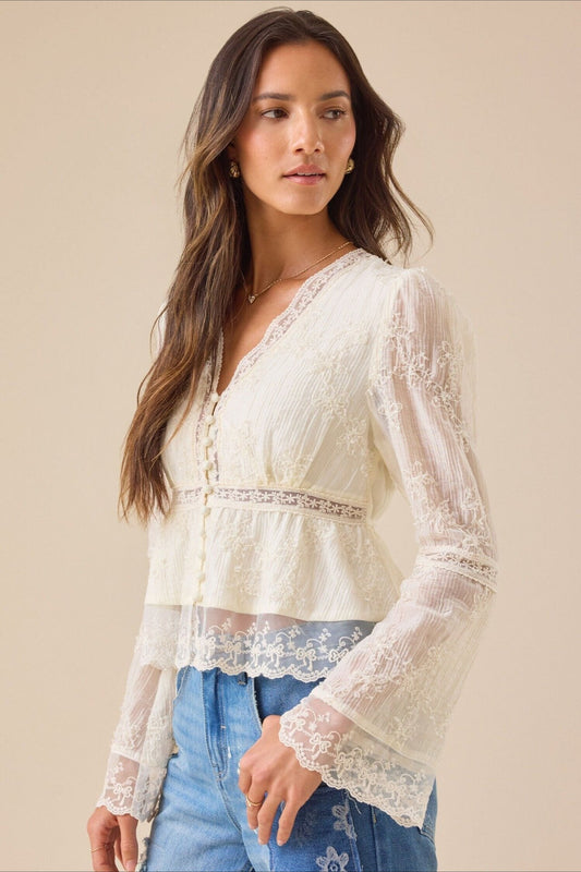 Lace Casual Hollow Out Long Sleeve Blouse