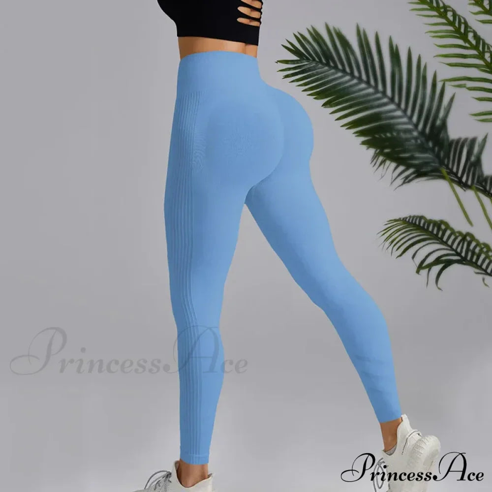 High Elastic Knitting Gym Workout Legging Blue / S